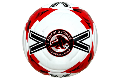 Football personalised with a club badge