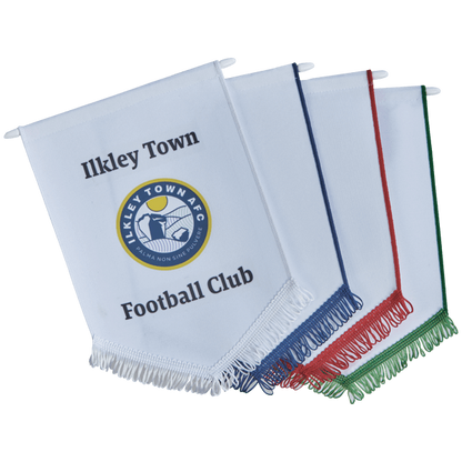 Sports Team Pennant Flag – Green, Red, Blue & White